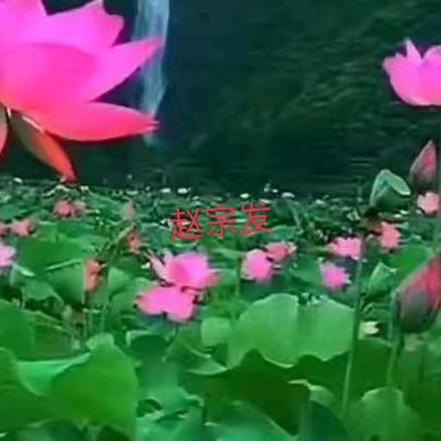 一生笑着过