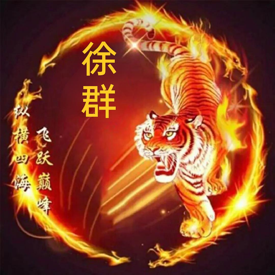 孤狼独行🐯