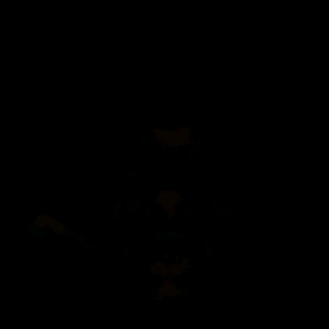 根本吃不动