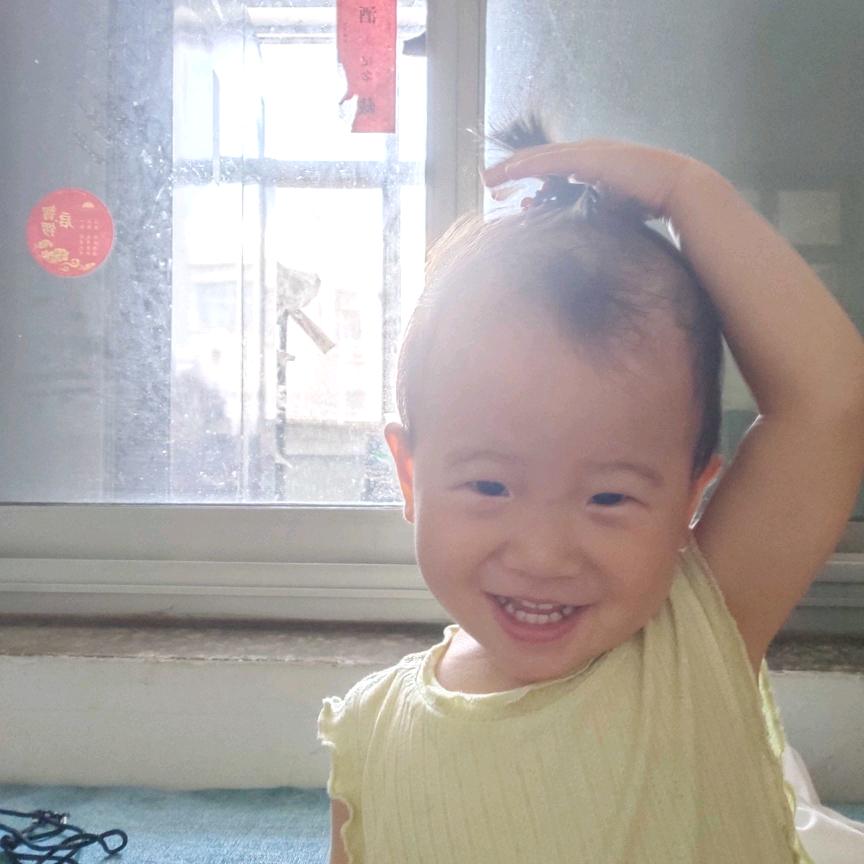 樊樊