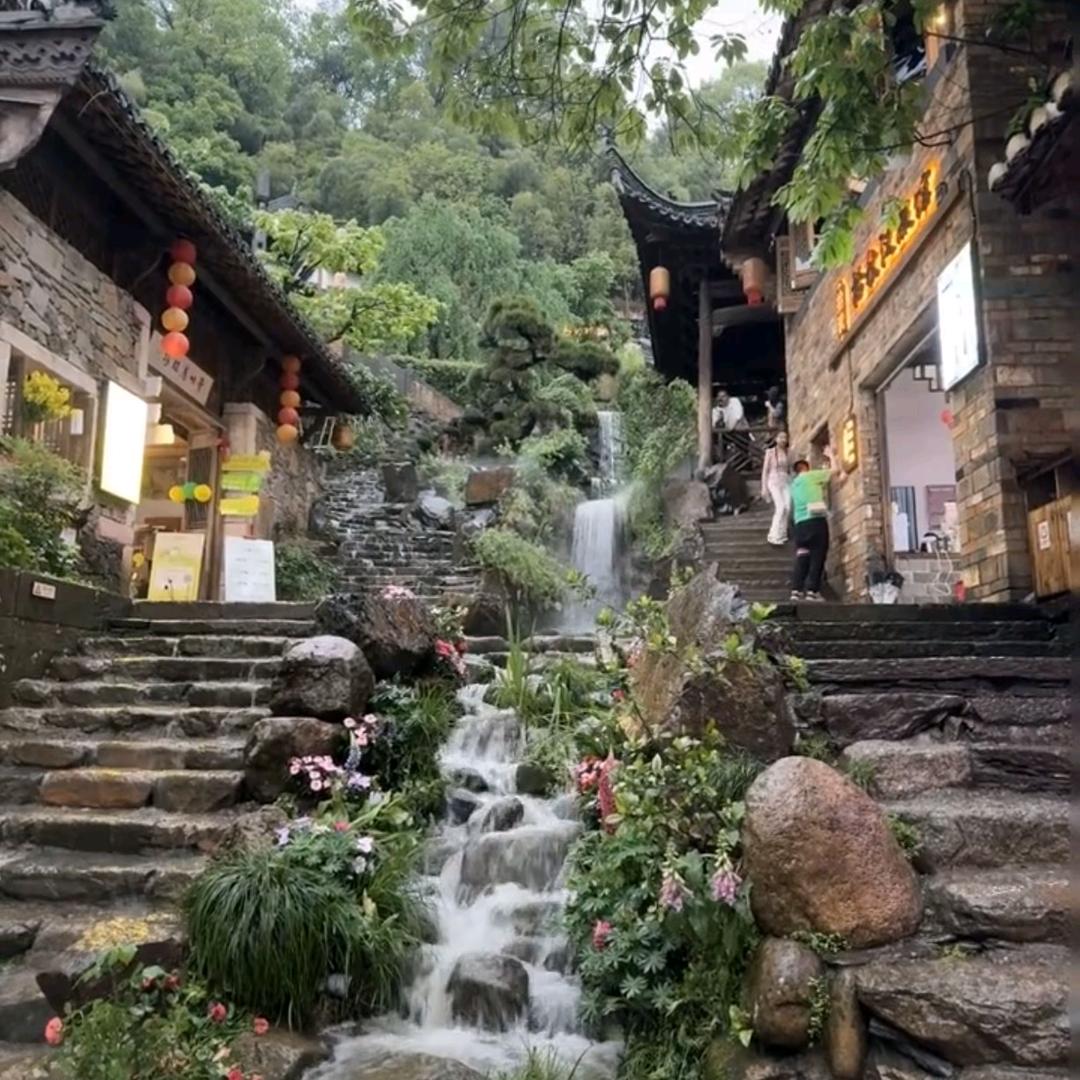 赵飞
