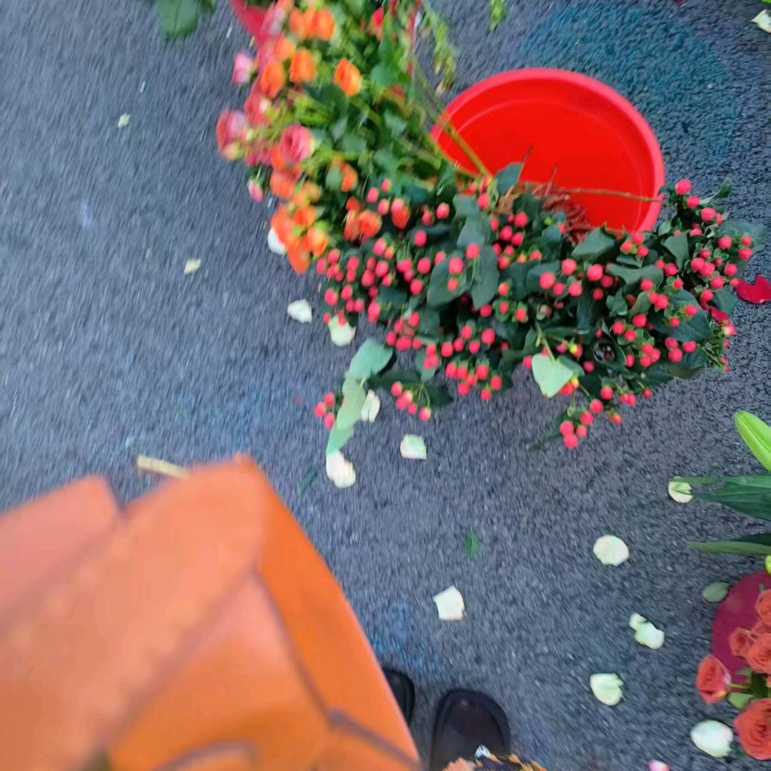 💗᭄何以解忧