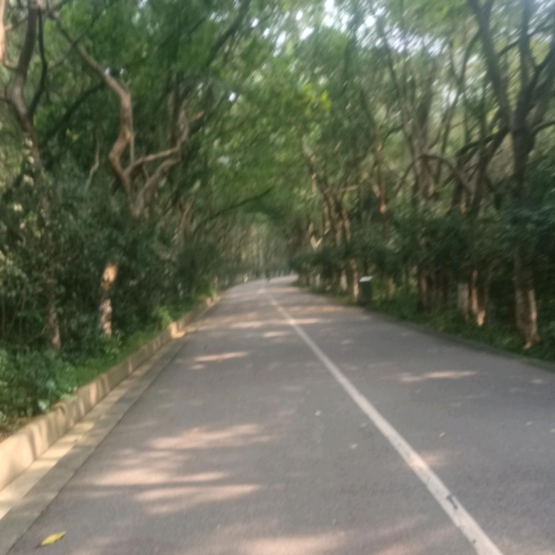 封尘锁爱