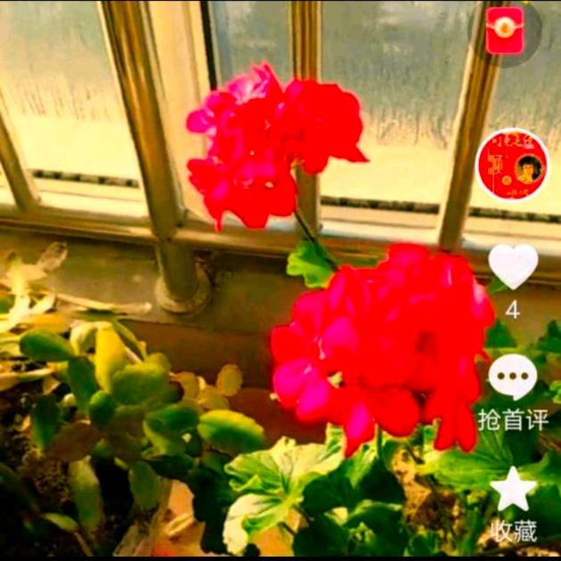 F范姐