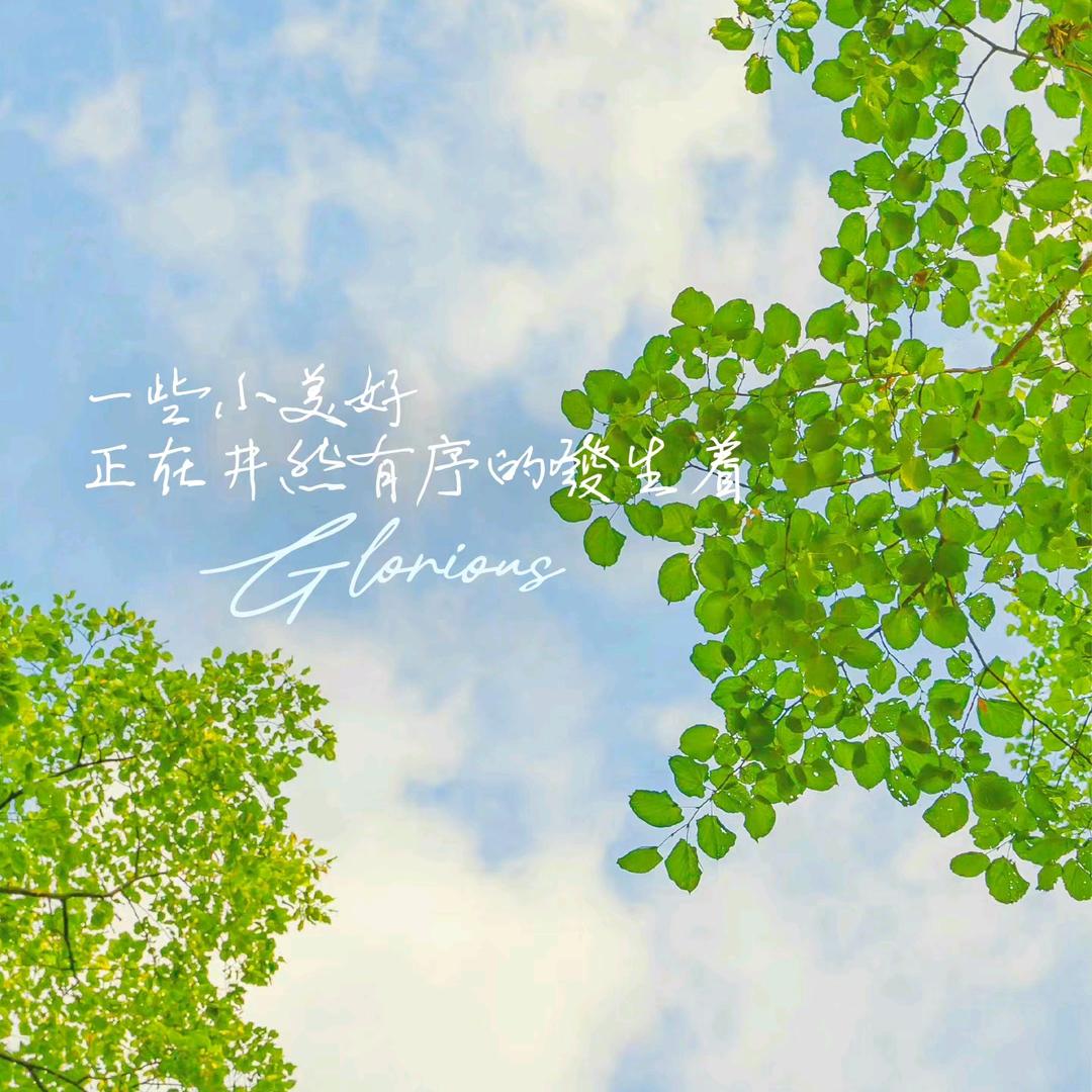 被美容耽误的厨师🥣