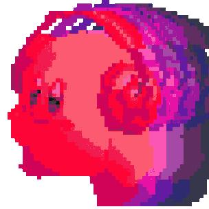 哔哩哔哩大笨猪