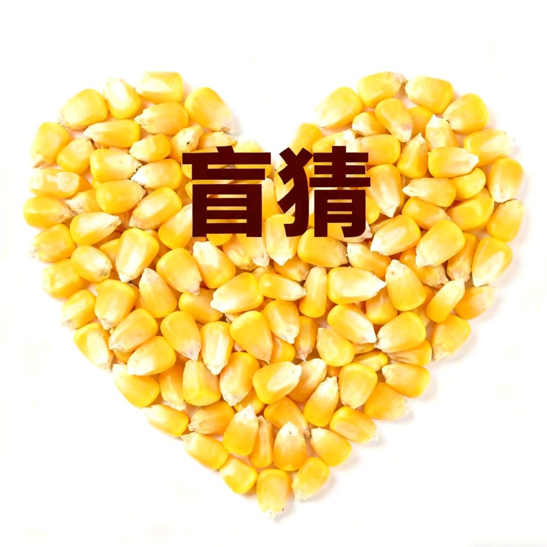 河南华科农业科技有限公司