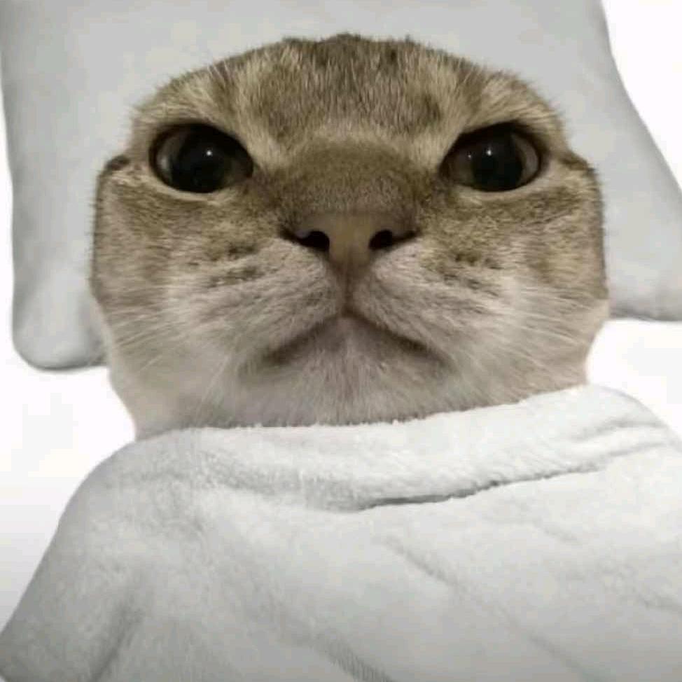 Drew（赛博搬运工）