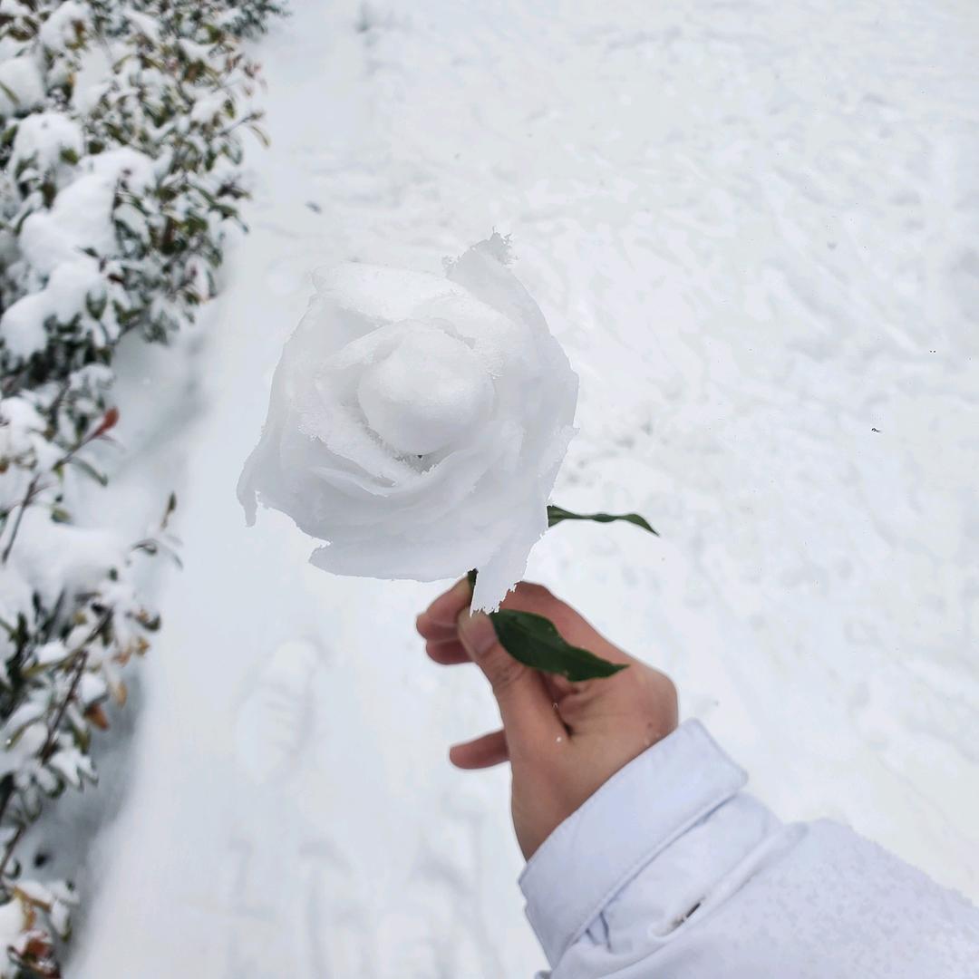 风过无痕🍒🍒