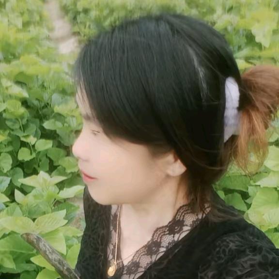 小小