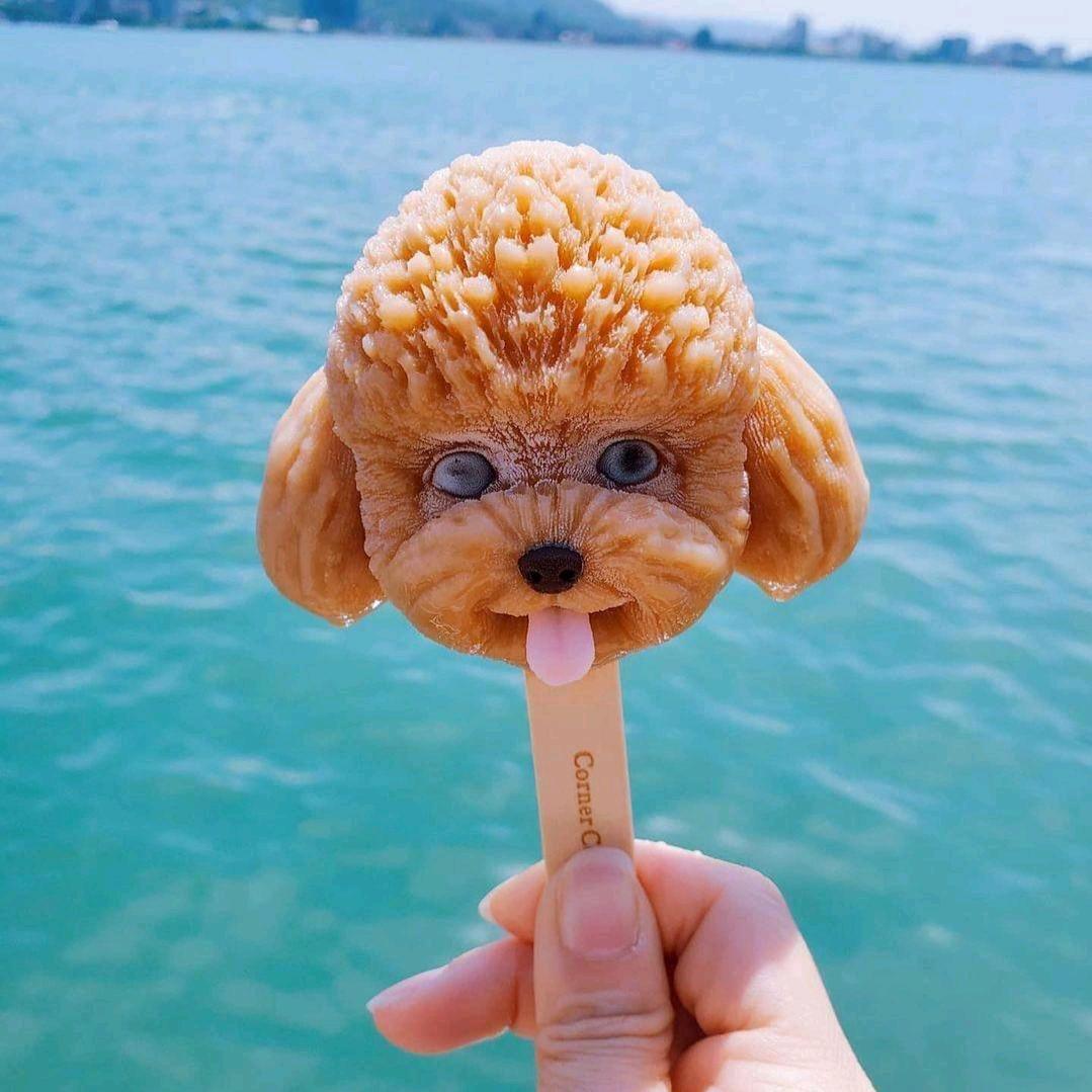 金  嘎嘎  💇‍♀️