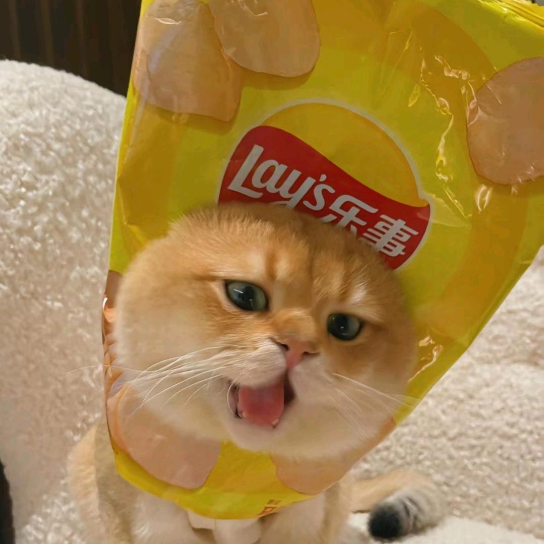 🌈乐事花生💫