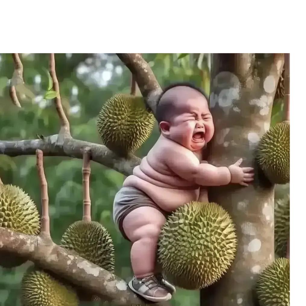 ᥫᩣ෴₅₂₀¹³¹⁴邹᭄ꦿ