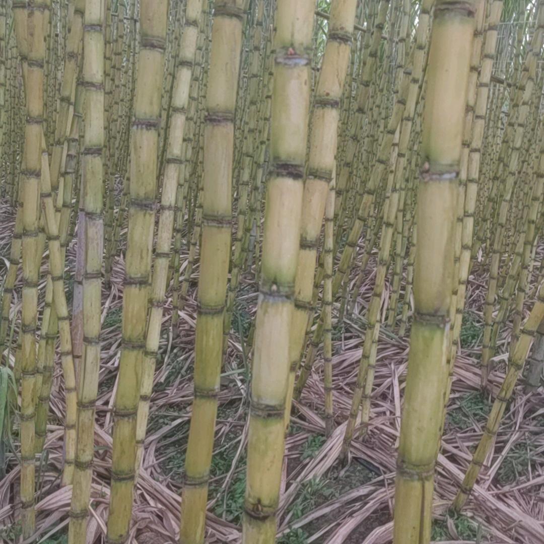 江湖冷暖