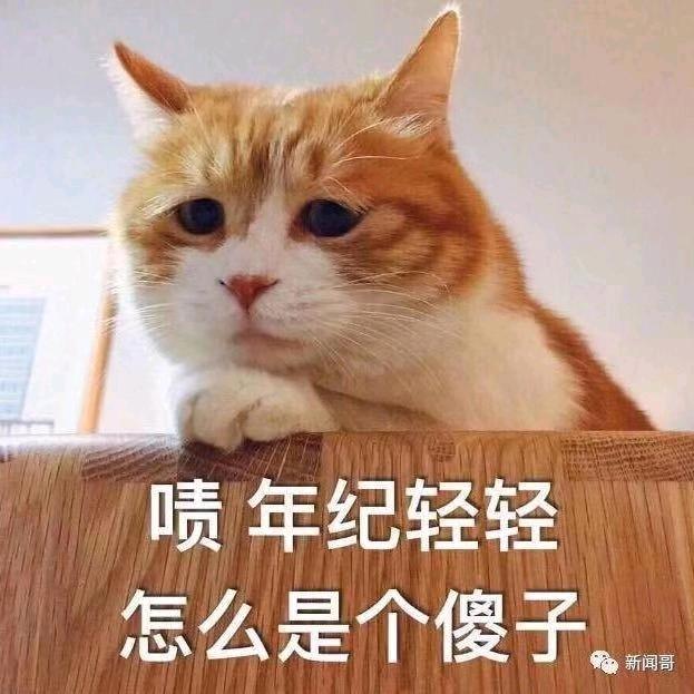古德猫宁