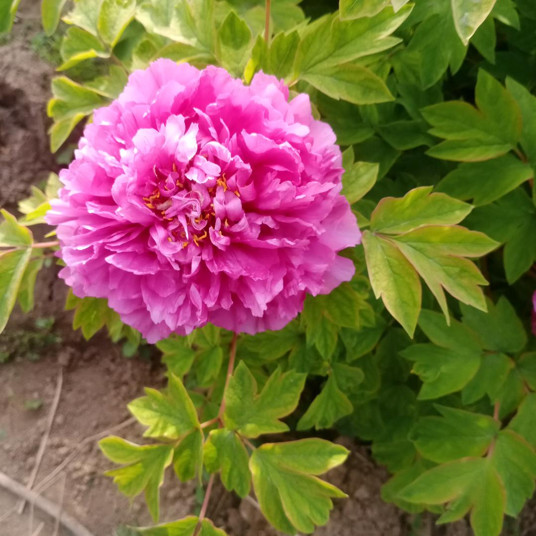 等风来赴约