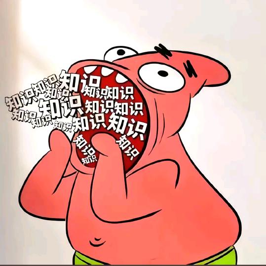 芝士快快快进进进进🧠