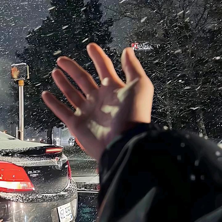 廿