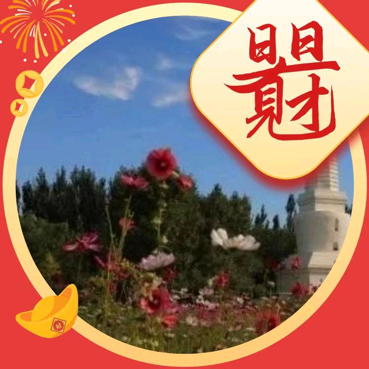 莅橙1868
