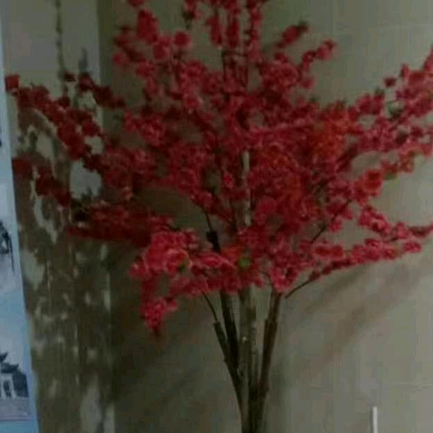 宋