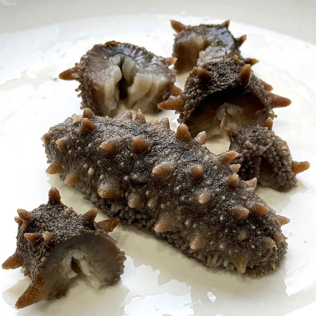 小刘活海参