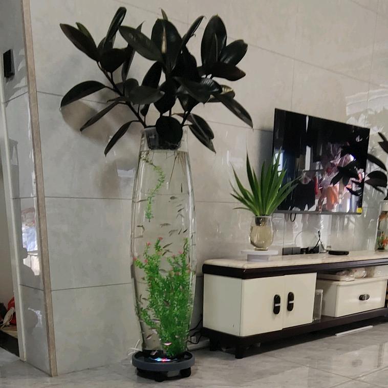 鱼花共养——东方红园林