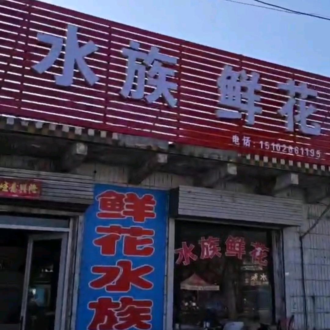 大北汪龙祥水族鲜花
