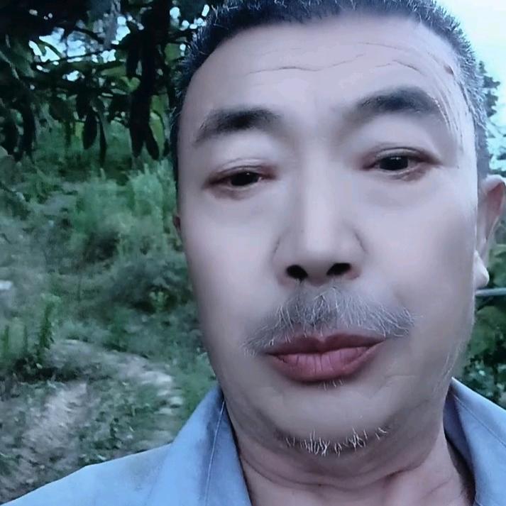 王真富