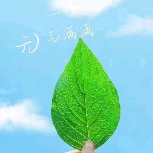 只要你好我就好‵(+﹏+)′