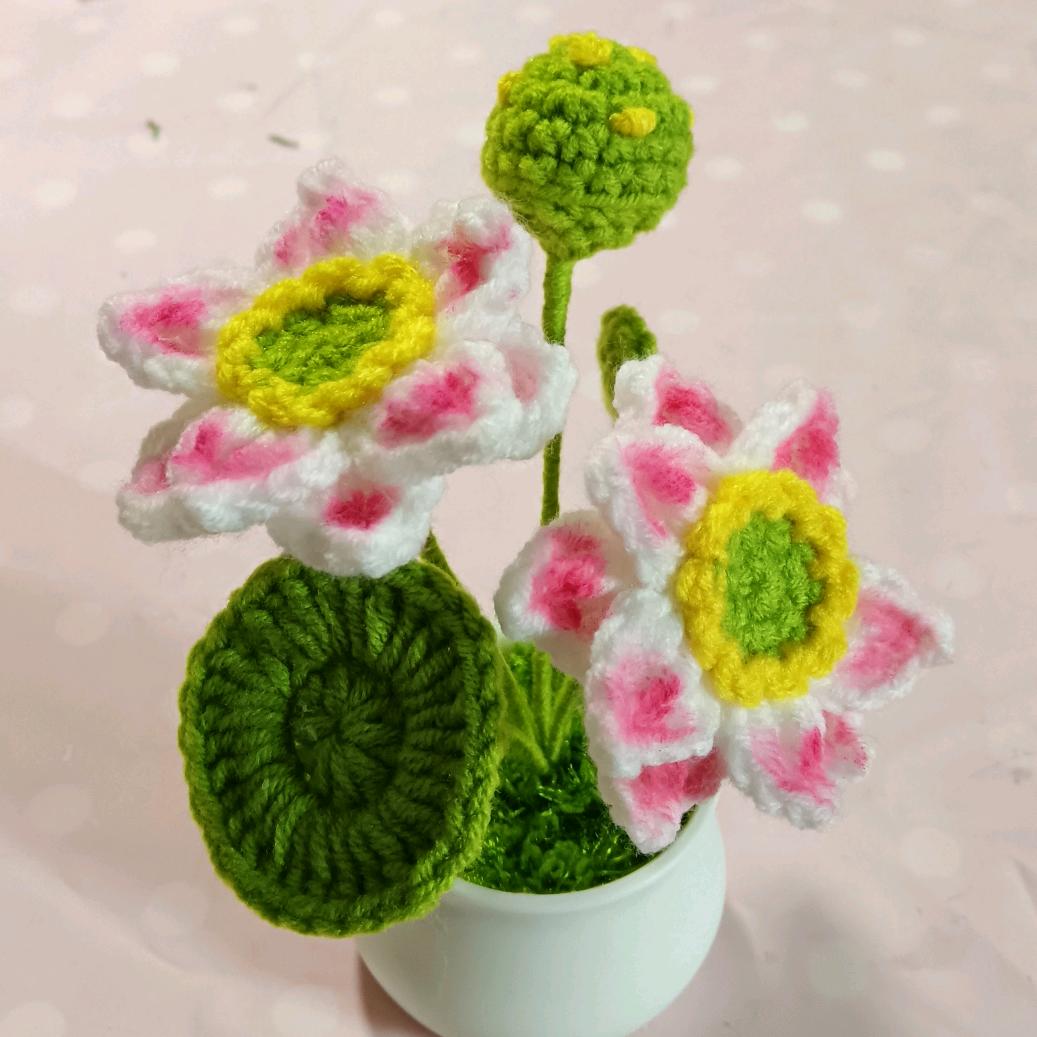 婷瑜编织小窝