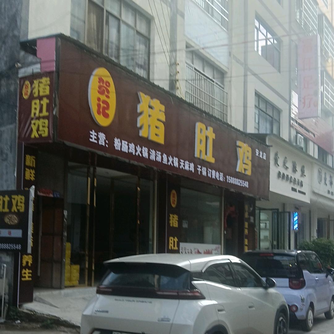 贺记猪肚鸡(安龙店)官方号