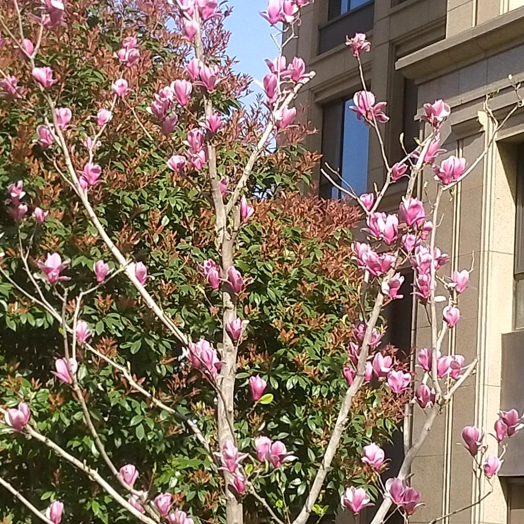 顺其自然##Y6qAAgc61##PAG