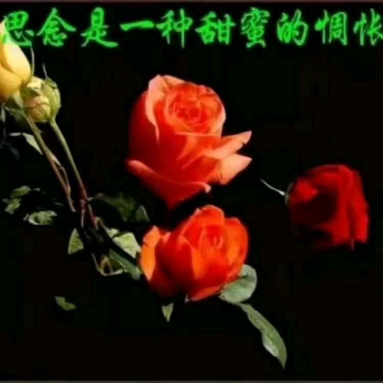 闯江湖