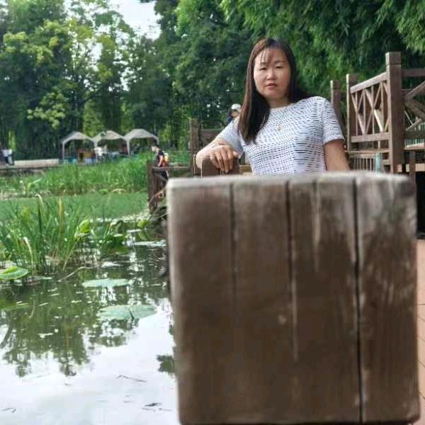 星河不知意