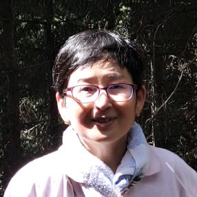 雾中竹