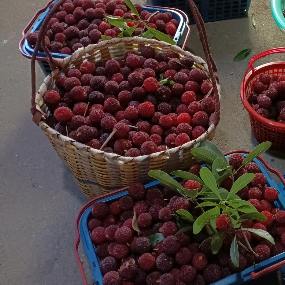 再苦再累也要坚强