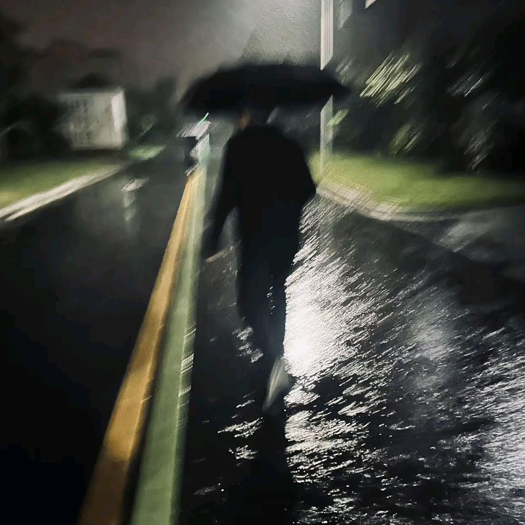 蜂鸟奥德彪