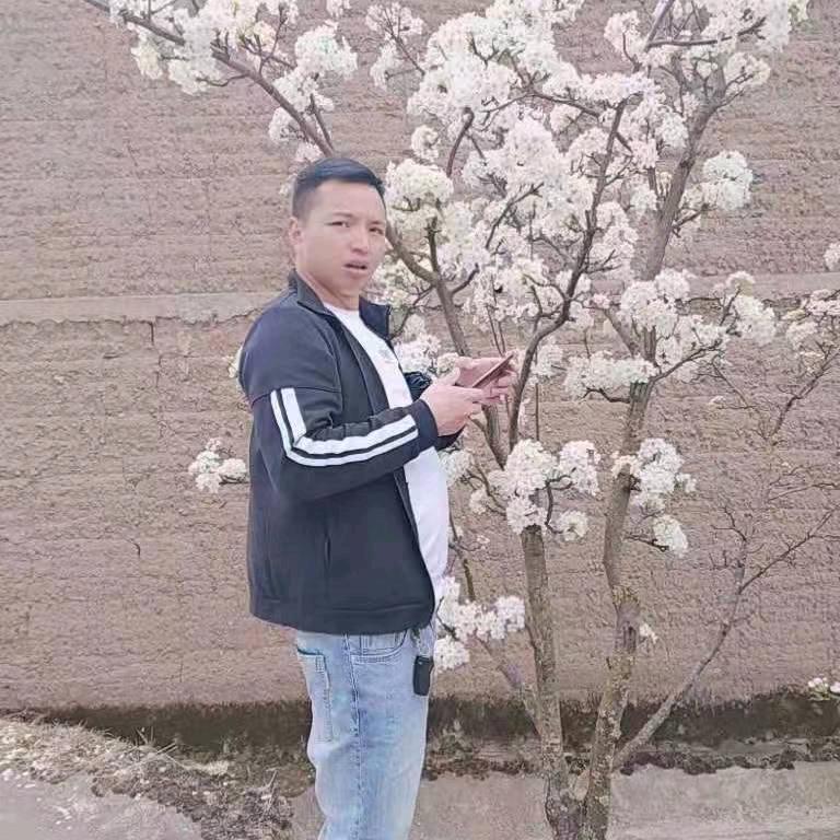 @游伟