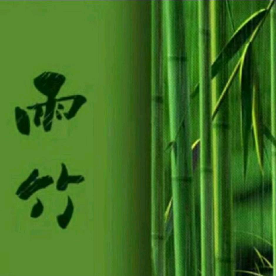 ～雨竹