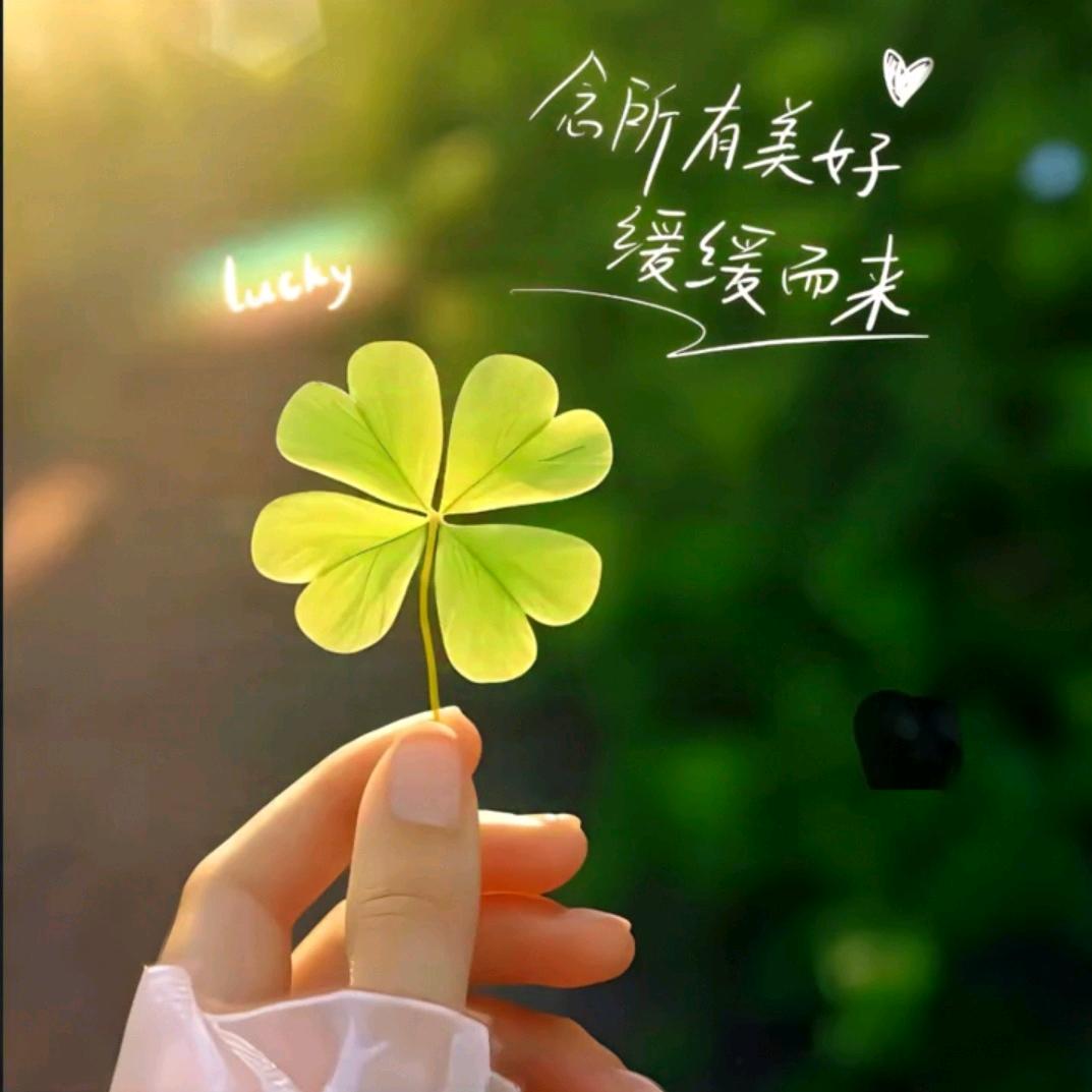 朱珠好物