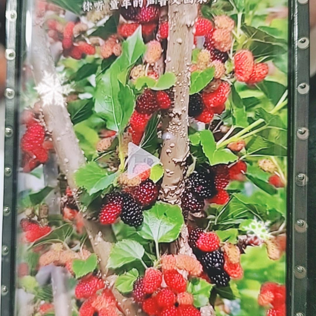 余生🍒🍒随心♥️