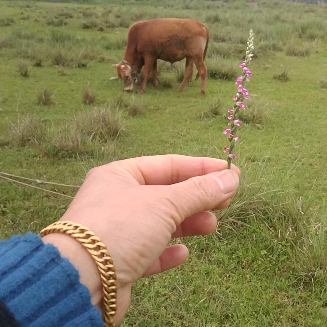 阳光心态