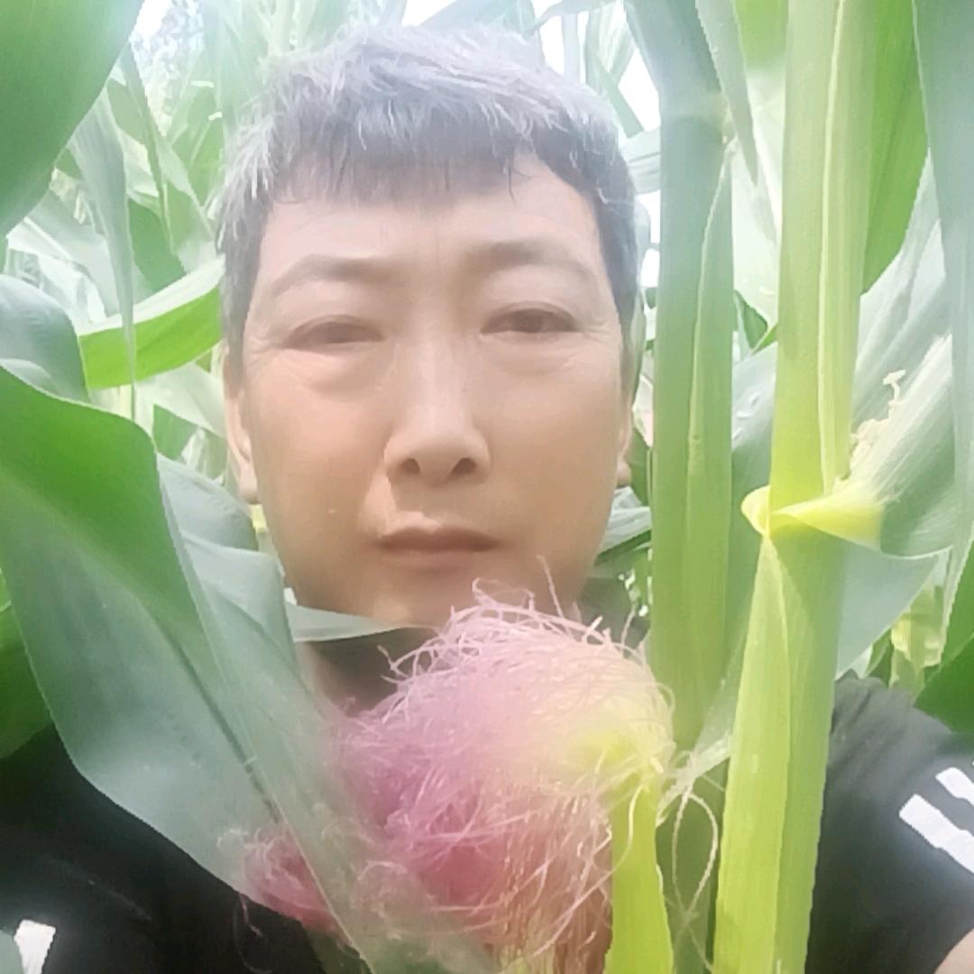 蜂农徐