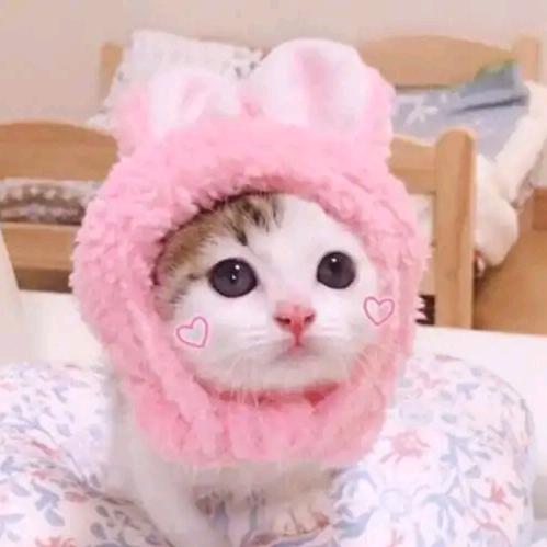 .顺其自然