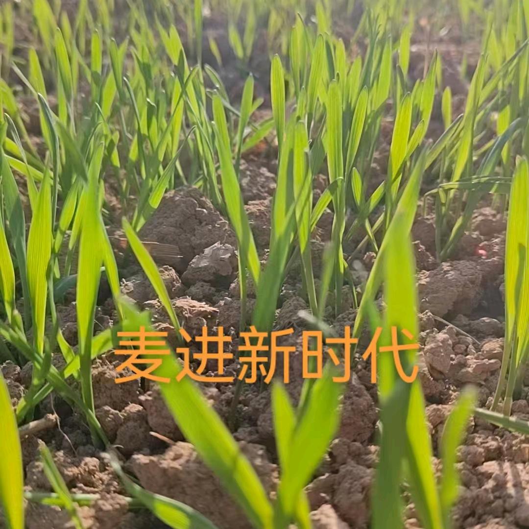 敬之一字