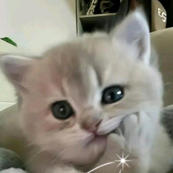 钰兰倩百货