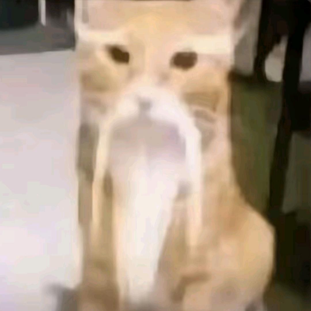 磊哥叫我宝贝