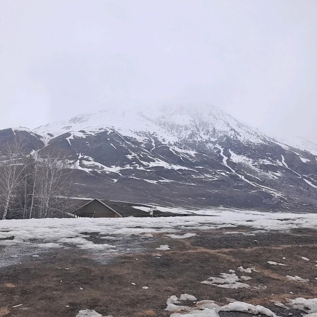 心心养殖小屋