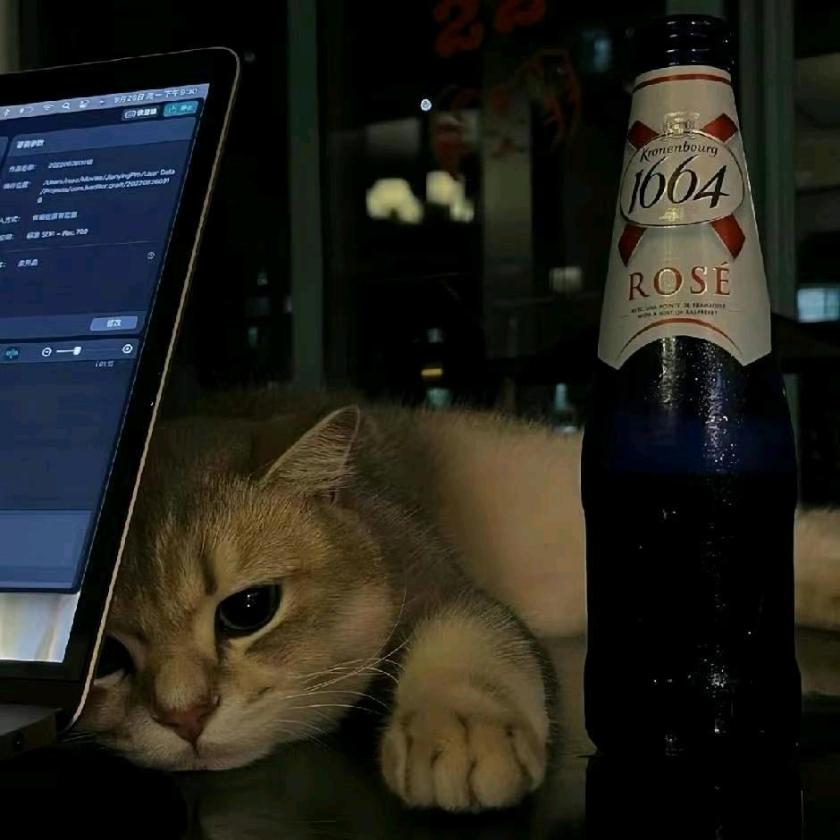 你怎么连话都说不清楚~