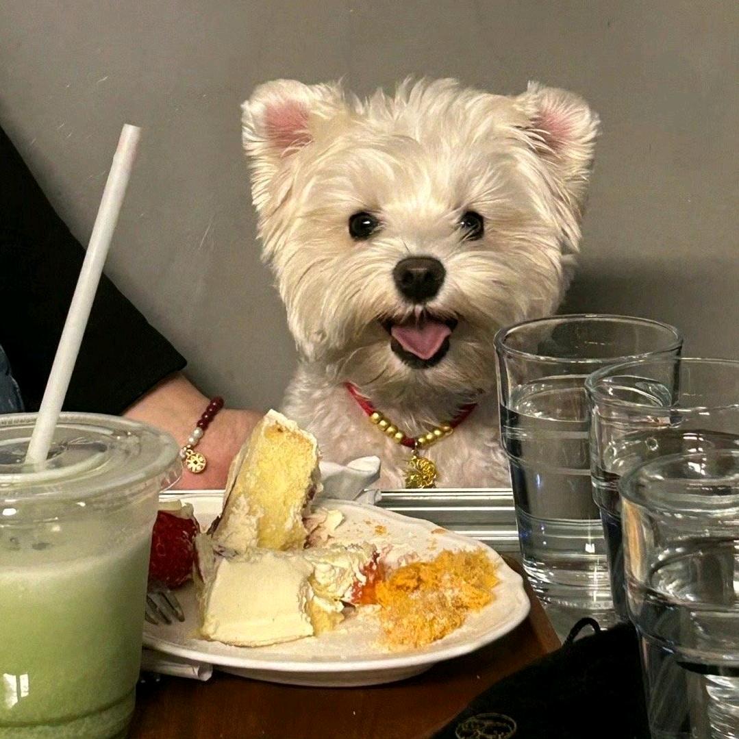 不如来杯柠檬茶